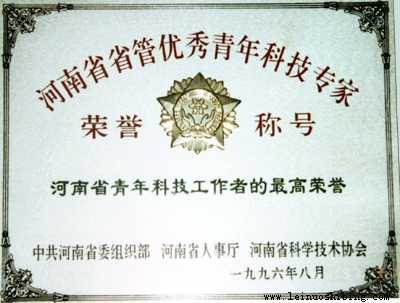 青少年荣誉奖章